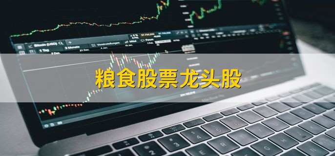 粮食股票龙头股