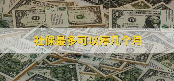 社保最多可以停几个月