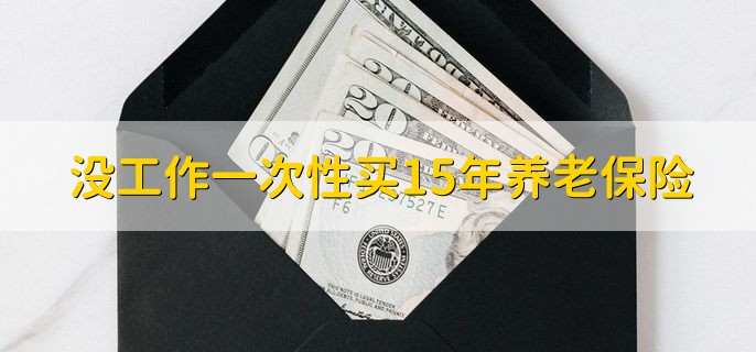 没工作一次性买15年养老保险，没有统一标准