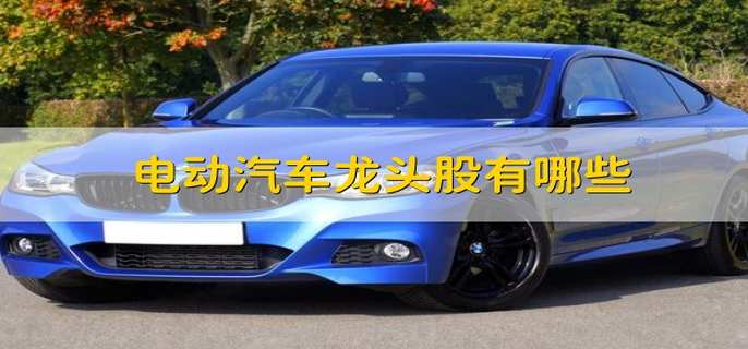电动汽车龙头股有哪些