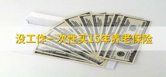 没工作一次性买15年养老保险