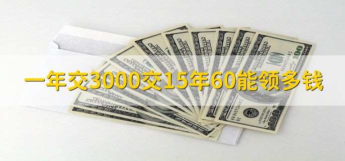 一年交3000交15年60能领多钱