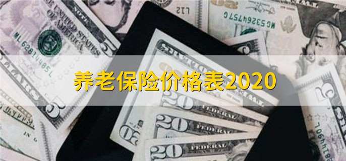 养老保险价格表2020