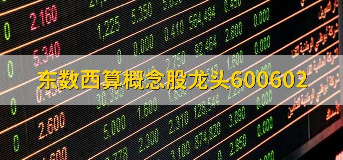 东数西算概念股龙头600602，东数西算十大龙头股盘点