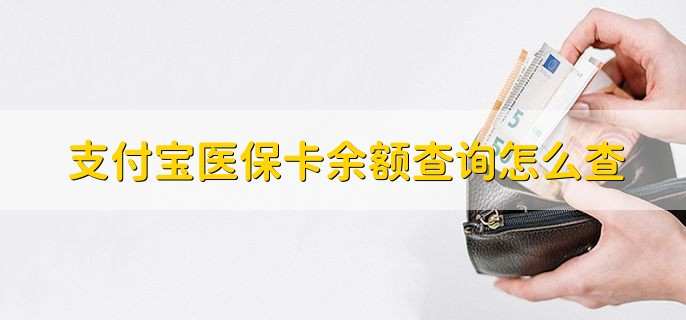 支付宝医保卡余额查询怎么查