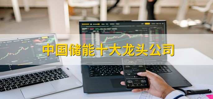 中国储能十大龙头公司,股票的三个类型