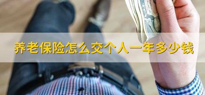 养老保险怎么交个人一年多少钱,要看当地的政策