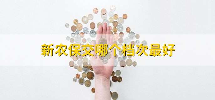 新农保交哪个档次最好