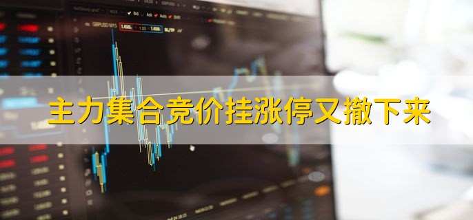 主力集合竞价挂涨停又撤下来