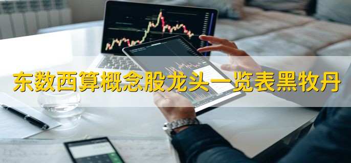 东数西算概念股龙头一览表黑牧丹