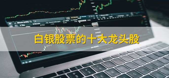白银股票的十大龙头股