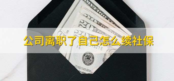 公司离职了自己怎么续社保