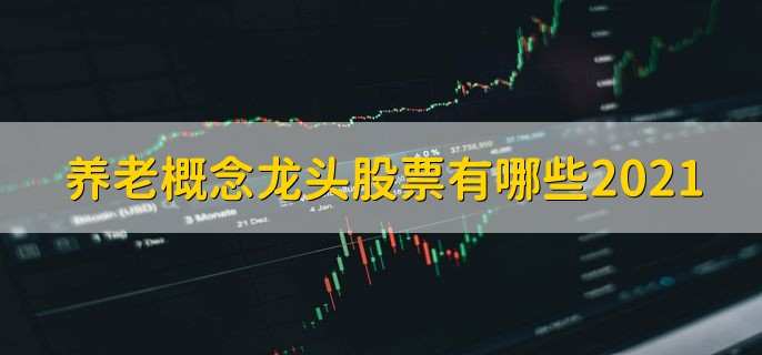 养老概念龙头股票有哪些2021