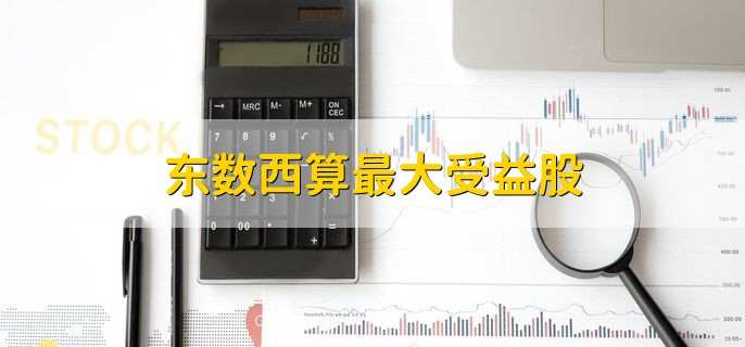东数西算最大受益股
