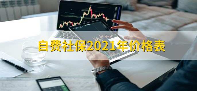自费社保2021年价格表