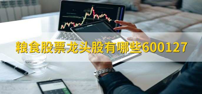 粮食股票龙头股有哪些600127