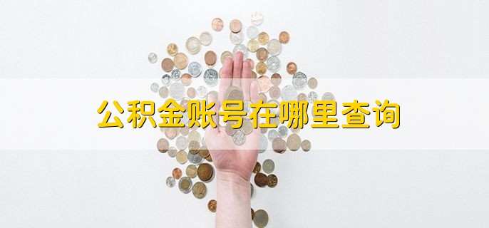 公积金账号在哪里查询