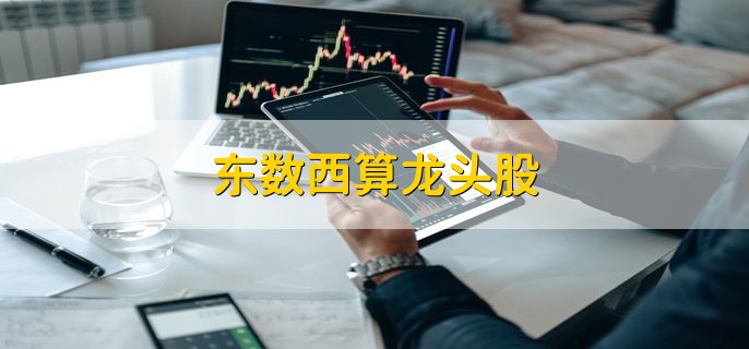 东数西算龙头股,十大概念龙头股一览