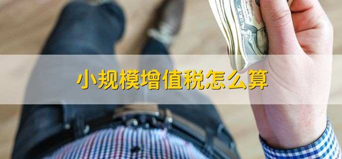 小规模增值税怎么算
