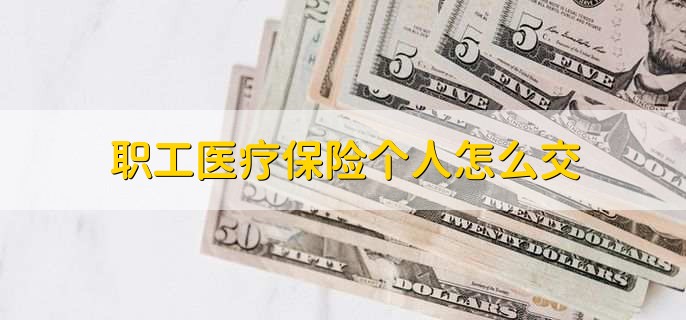 职工医疗保险个人怎么交