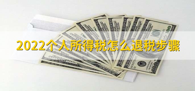 2022个人所得税怎么退税步骤
