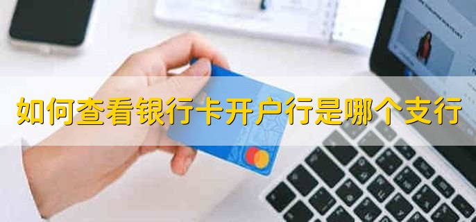 如何查看银行卡开户行是哪个支行