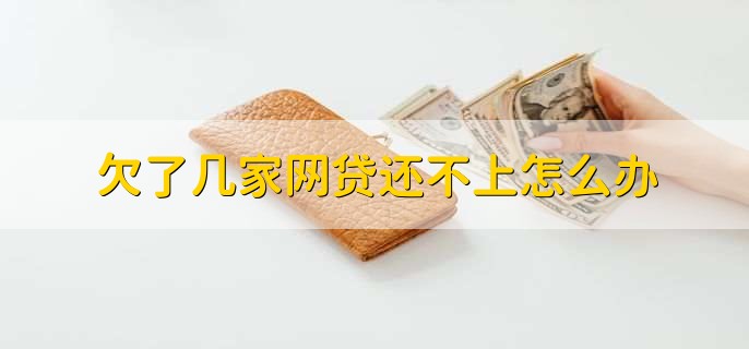 欠了几家网贷还不上怎么办