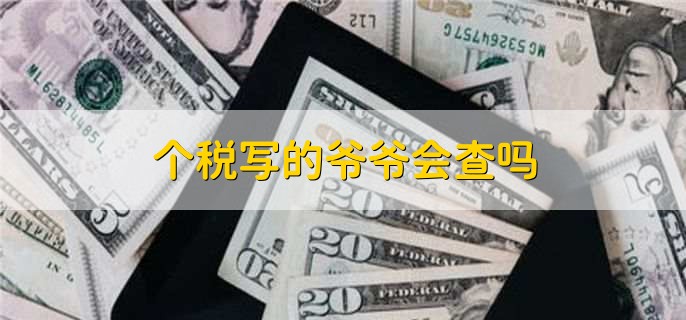 个税写的爷爷会查吗