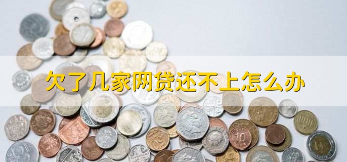欠了几家网贷还不上怎么办,和平台协商还款