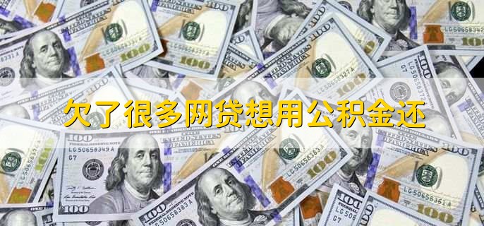 欠了很多网贷想用公积金还