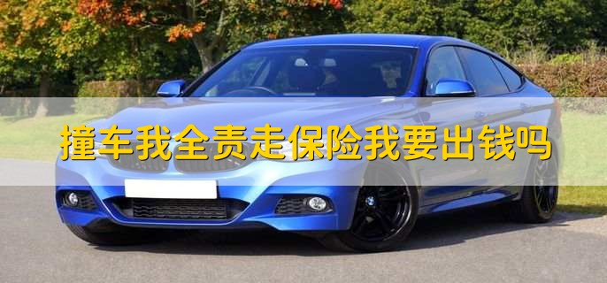 撞车我全责走保险我要出钱吗,需要看具体购买的险种