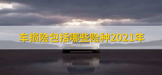 车损险包括哪些险种2021年