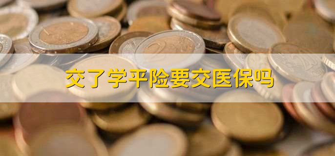 交了学平险要交医保吗
