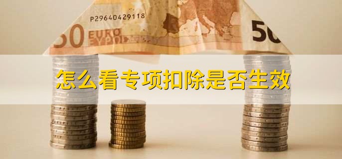 怎么看专项扣除是否生效
