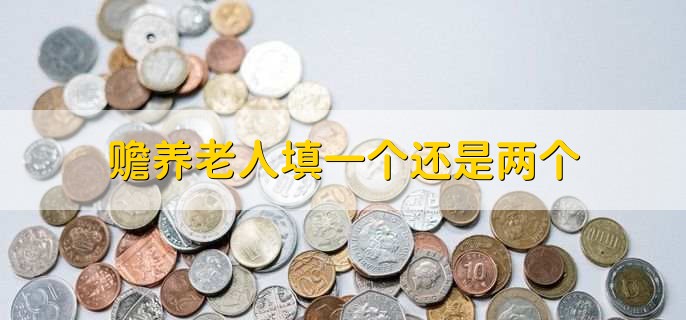 赡养老人填一个还是两个,一个或两个都可以