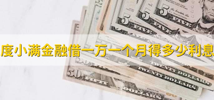 度小满金融借一万一个月得多少利息,最低60人民币的利息
