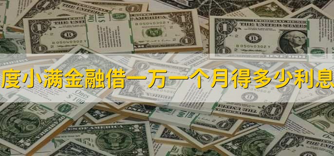 度小满金融借一万一个月得多少利息