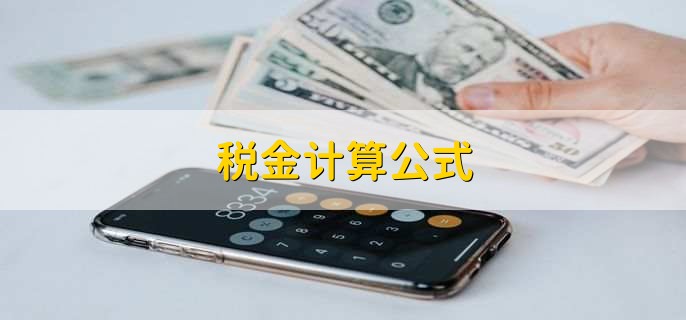 税金计算公式