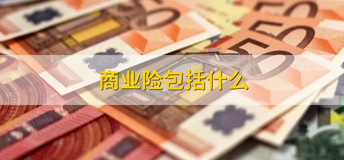 商业险包括什么,要不要买附加险