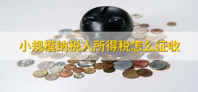 小规模纳税人所得税怎么征收