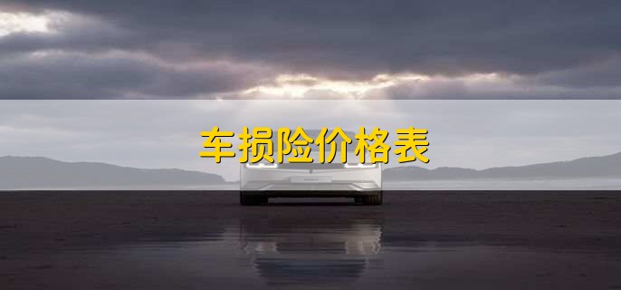 车损险价格表，有以下4种