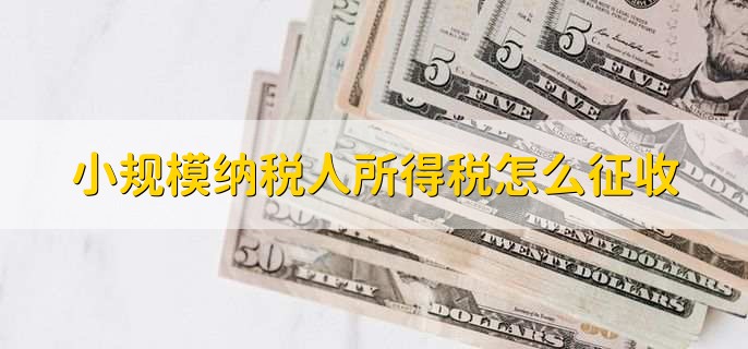 小规模纳税人所得税怎么征收,有以下3种方法
