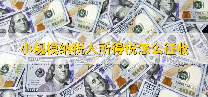 小规模纳税人所得税怎么征收,有以下3种方法