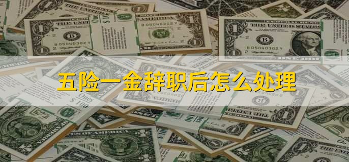 五险一金辞职后怎么处理,有三种不同的处理方式