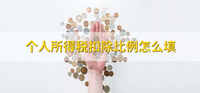 个人所得税扣除比例怎么填