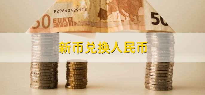 新币兑换人民币