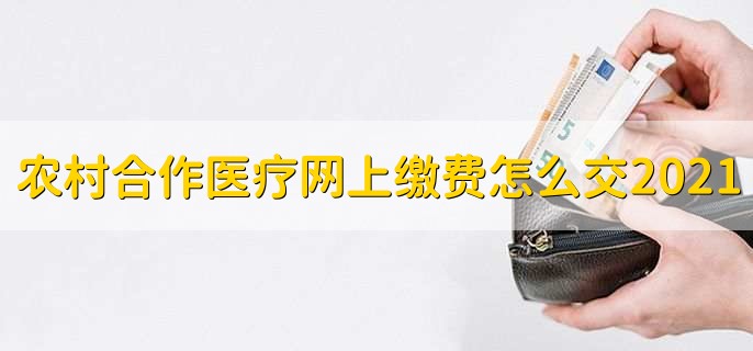 农村合作医疗网上缴费怎么交2021