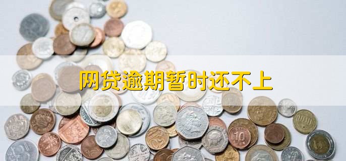 网贷逾期暂时还不上,可协商分期付款