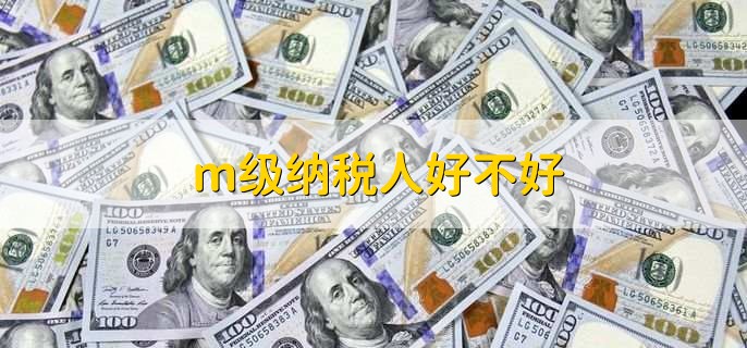 m级纳税人好不好