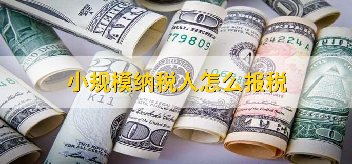 小规模纳税人怎么报税